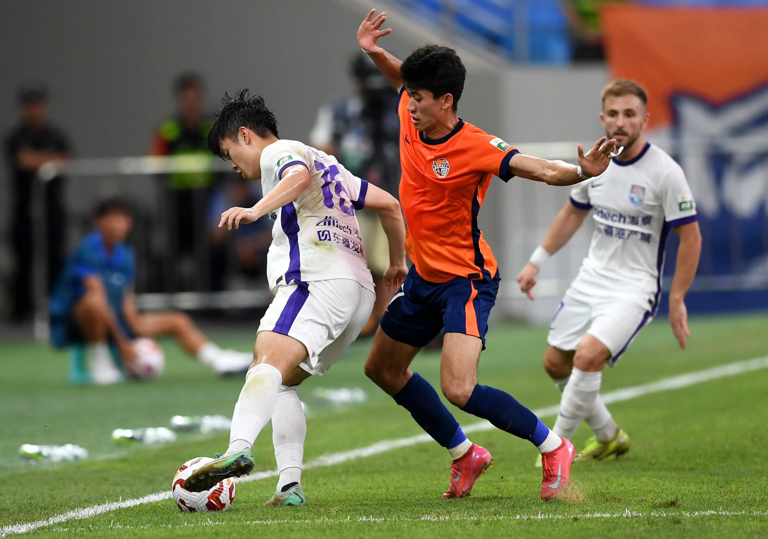 格魅力和情 格魅力和情