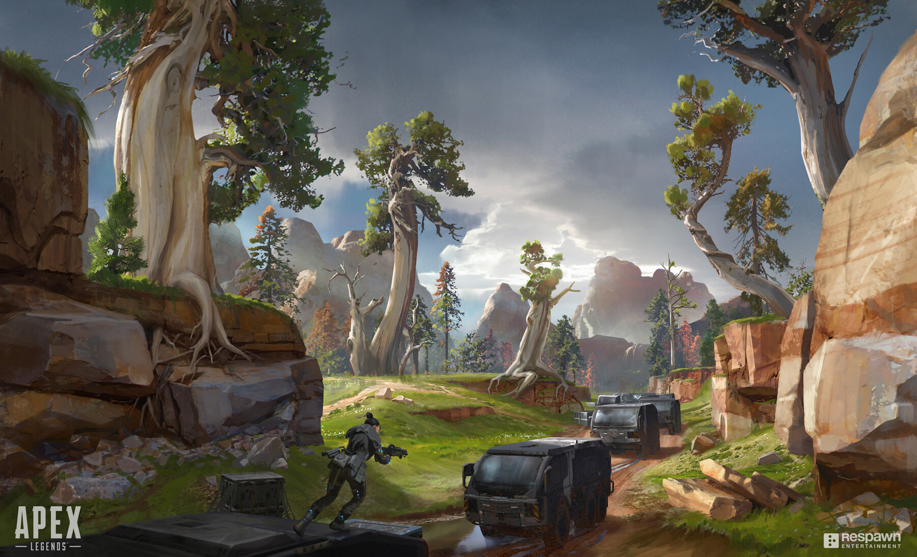 看重梅里诺 看重梅里诺